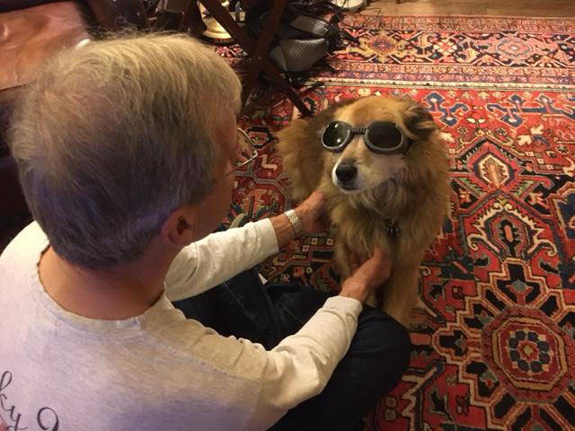 daily picdump weekend edition 51 pics 25.html - 51 HD Photos | Premium Gallery 2017