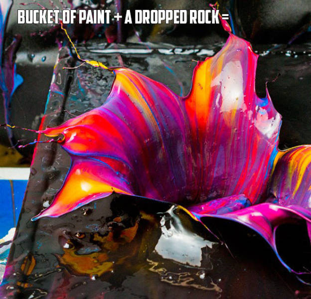 daily picdump weekend edition 51 pics 25.html - 51 HD Photos | Premium Gallery 2017