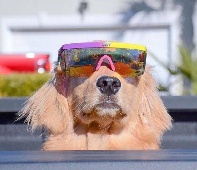 daily picdump 102 pics 19.html - 102 HD Photos | Premium Gallery 2017