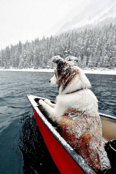 daily picdump 102 pics 19.html - 102 HD Photos | Premium Gallery 2017