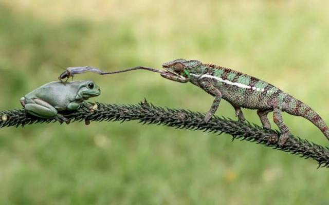 daily picdump 102 pics 19.html - 102 HD Photos | Premium Gallery 2017