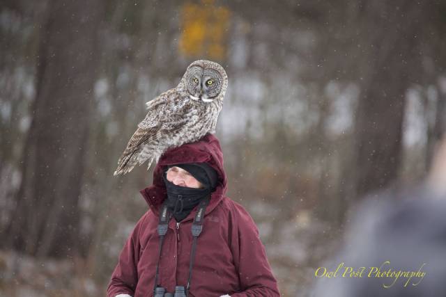 daily picdump 102 pics 19.html - 102 HD Photos | Premium Gallery 2017