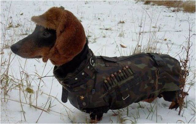 daily picdump 102 pics 19.html - 102 HD Photos | Premium Gallery 2017