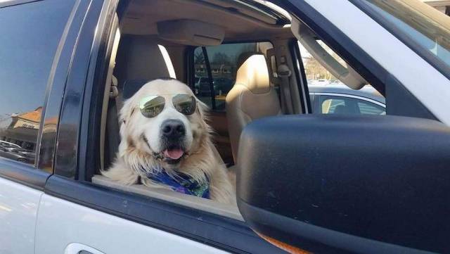 daily picdump 102 pics 50.html - 102 HD Photos | Premium Gallery 2017