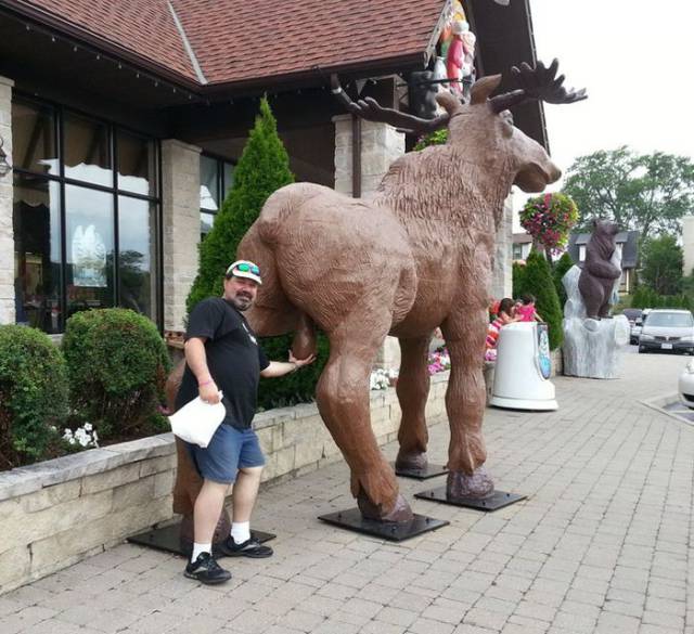 daily picdump 102 pics 50.html - 102 HD Photos | Premium Gallery 2017