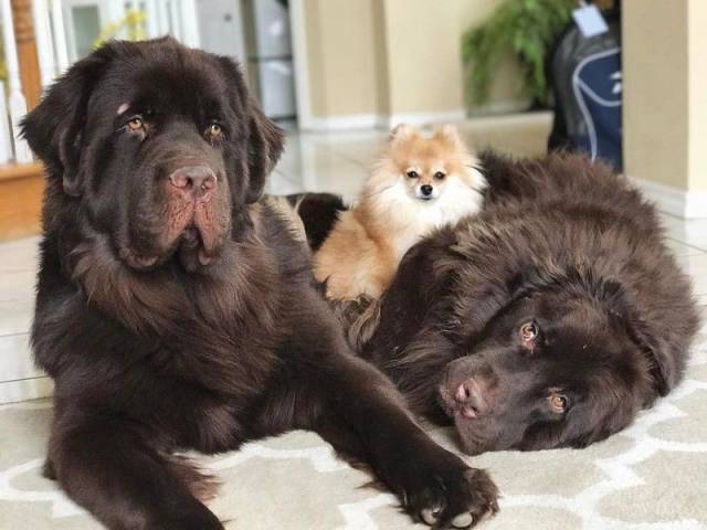 daily picdump 102 pics 50.html - 102 HD Photos | Premium Gallery 2017