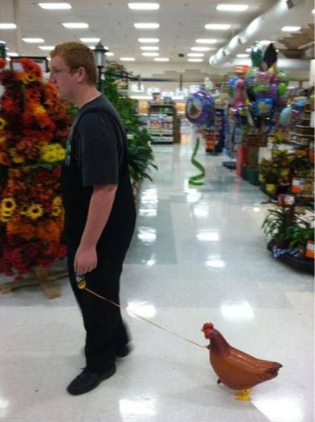 daily picdump 102 pics 50.html - 102 HD Photos | Premium Gallery 2017