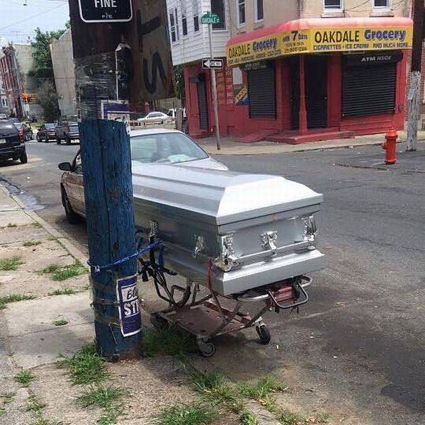 daily picdump 101 pics 29.html - 101 HD Photos | Premium Gallery 2017