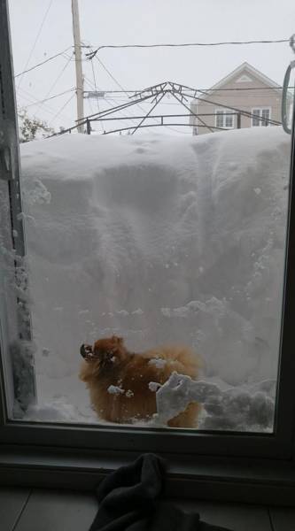 daily picdump 101 pics 29.html - 101 HD Photos | Premium Gallery 2017