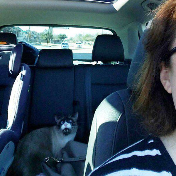 daily picdump 101 pics 29.html - 101 HD Photos | Premium Gallery 2017