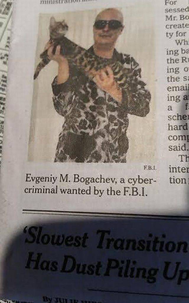 daily picdump 101 pics 29.html - 101 HD Photos | Premium Gallery 2017