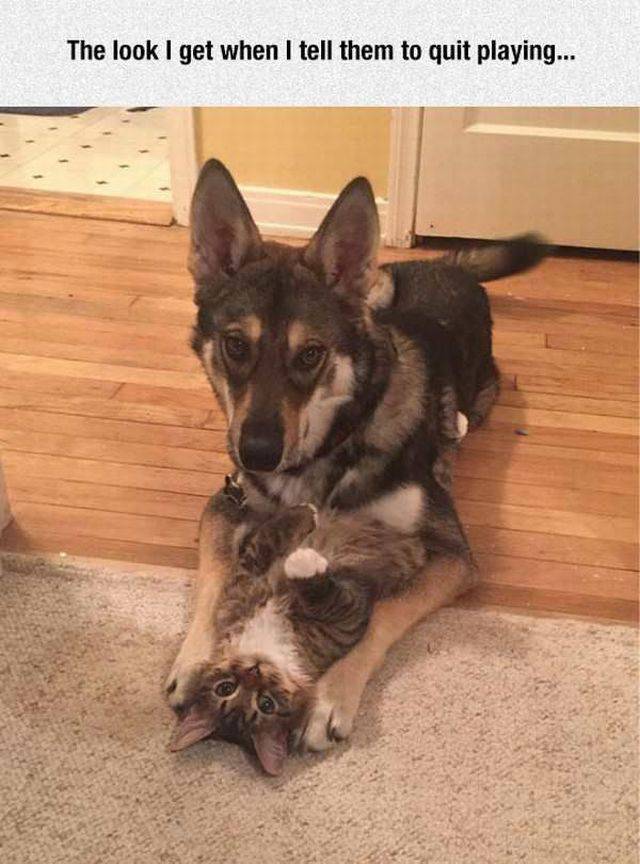 daily picdump 101 pics 29.html - 101 HD Photos | Premium Gallery 2017