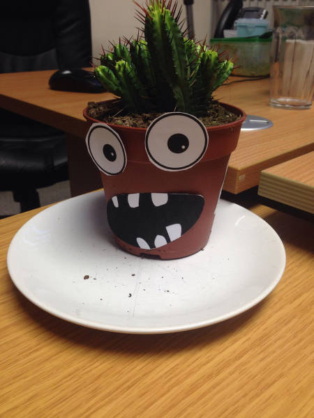 morning picdump 54 pics 15.html - 54 HD Photos | Premium Gallery 2017