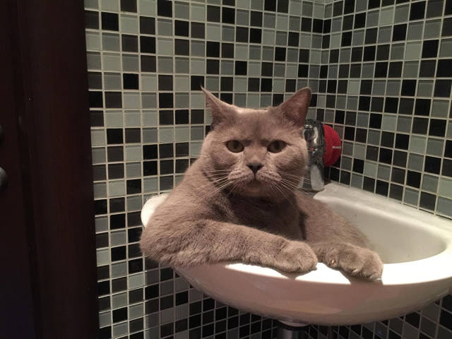 morning picdump 54 pics 15.html - 54 HD Photos | Premium Gallery 2017