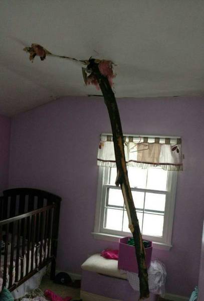 morning picdump 54 pics 15.html - 54 HD Photos | Premium Gallery 2017