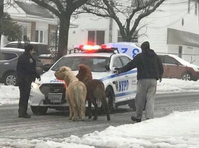 morning picdump 54 pics 15.html - 54 HD Photos | Premium Gallery 2017