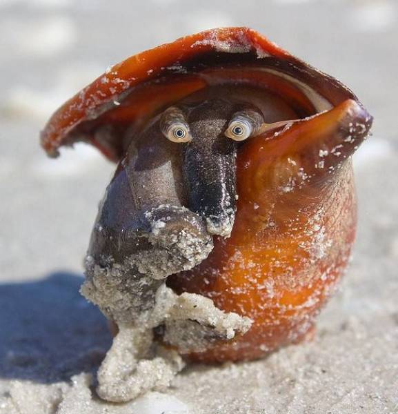 morning picdump 54 pics 15.html - 54 HD Photos | Premium Gallery 2017