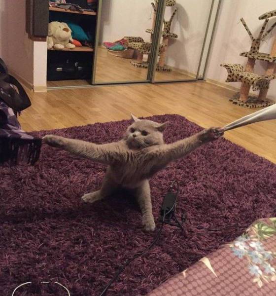 daily picdump 101 pics 47.html - 101 HD Photos | Premium Gallery 2017