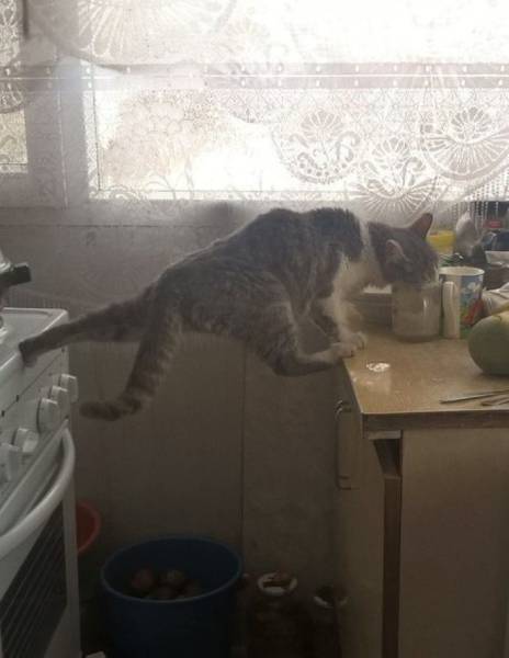 daily picdump 101 pics 47.html - 101 HD Photos | Premium Gallery 2017