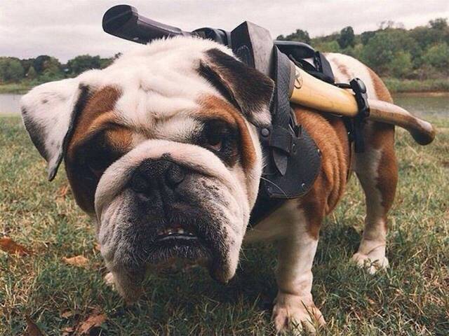 daily picdump 101 pics 47.html - 101 HD Photos | Premium Gallery 2017