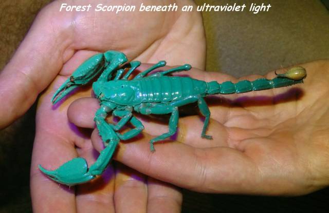 daily picdump 101 pics 47.html - 101 HD Photos | Premium Gallery 2017