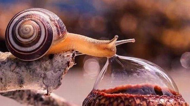 daily picdump 101 pics 47.html - 101 HD Photos | Premium Gallery 2017