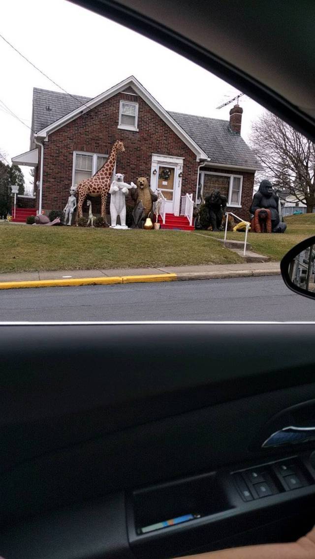 daily picdump 101 pics 47.html - 101 HD Photos | Premium Gallery 2017