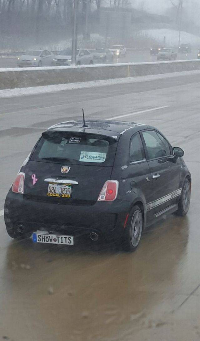 daily picdump 101 pics 47.html - 101 HD Photos | Premium Gallery 2017