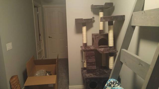 morning picdump 52 pics 12.html - 52 HD Photos | Premium Gallery 2017