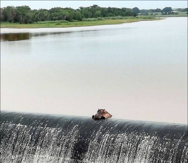 daily picdump 103 pics 41.html - 103 HD Photos | Premium Gallery 2017