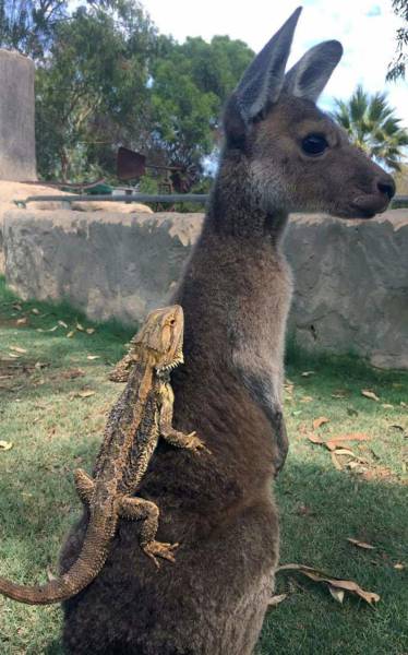 daily picdump 103 pics 41.html - 103 HD Photos | Premium Gallery 2017