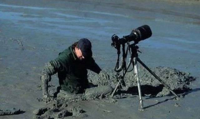 daily picdump 103 pics 41.html - 103 HD Photos | Premium Gallery 2017