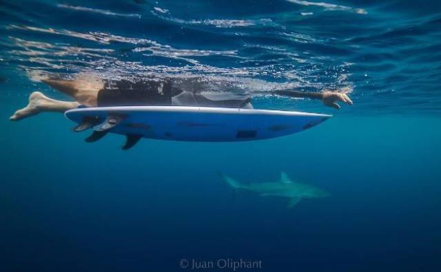 daily picdump 103 pics 41.html - 103 HD Photos | Premium Gallery 2017