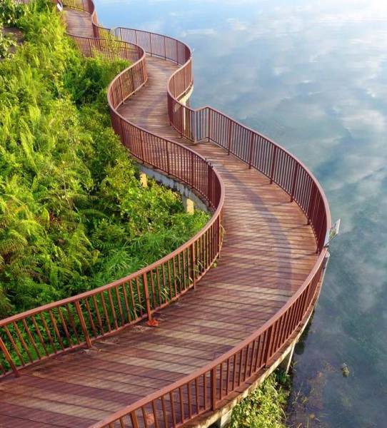 morning picdump 50 pics 4.html - 50 HD Photos | Premium Gallery 2017