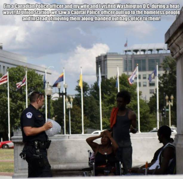 Daily Picdump [WEEKEND EDITION]