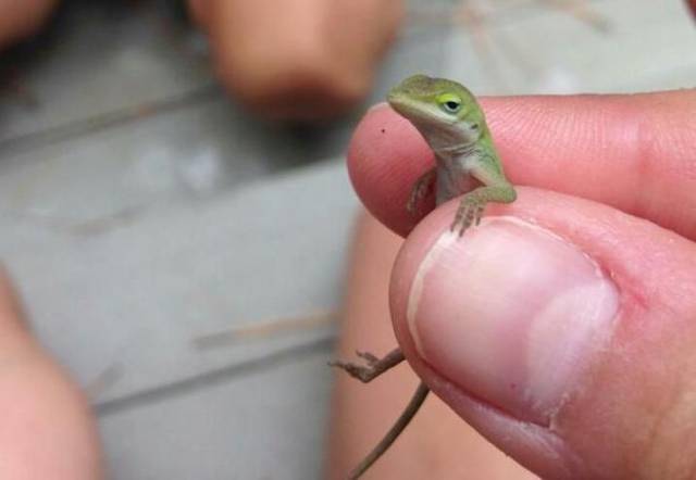 Daily Picdump [WEEKEND EDITION]