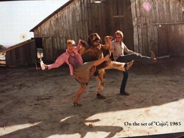 daily picdump weekend edition 75 pics 12.html - 75 HD Photos | Premium Gallery 2017