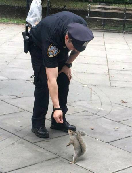 daily picdump weekend edition 75 pics 12.html - 75 HD Photos | Premium Gallery 2017