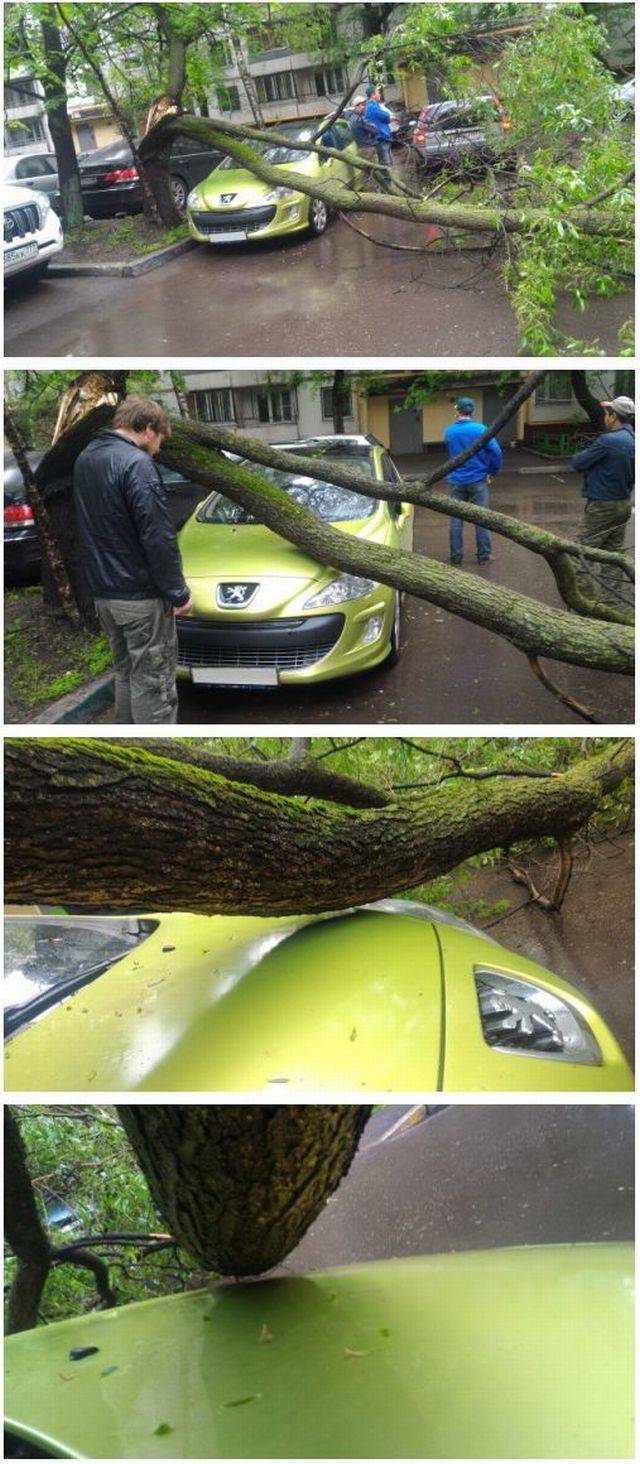 daily picdump weekend edition 75 pics 12.html - 75 HD Photos | Premium Gallery 2017