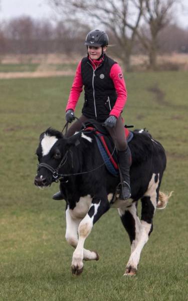 daily picdump 102 pics 50.html - 102 HD Photos | Premium Gallery 2017