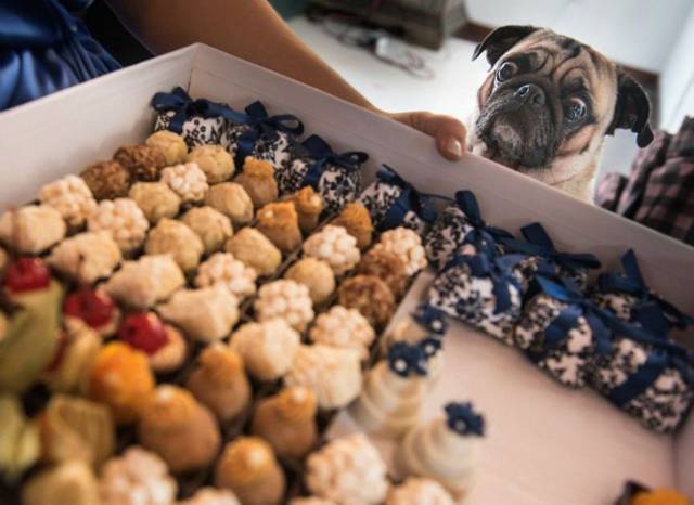 daily picdump 102 pics 50.html - 102 HD Photos | Premium Gallery 2017