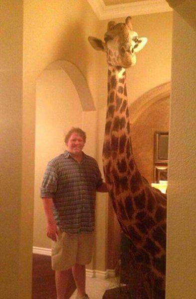 daily picdump 102 pics 50.html - 102 HD Photos | Premium Gallery 2017