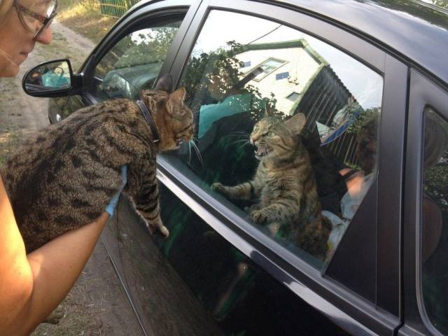 daily picdump 102 pics 50.html - 102 HD Photos | Premium Gallery 2017