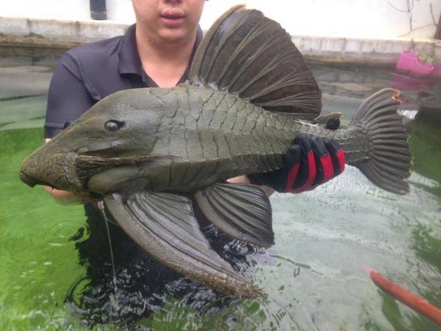 daily picdump 102 pics 50.html - 102 HD Photos | Premium Gallery 2017