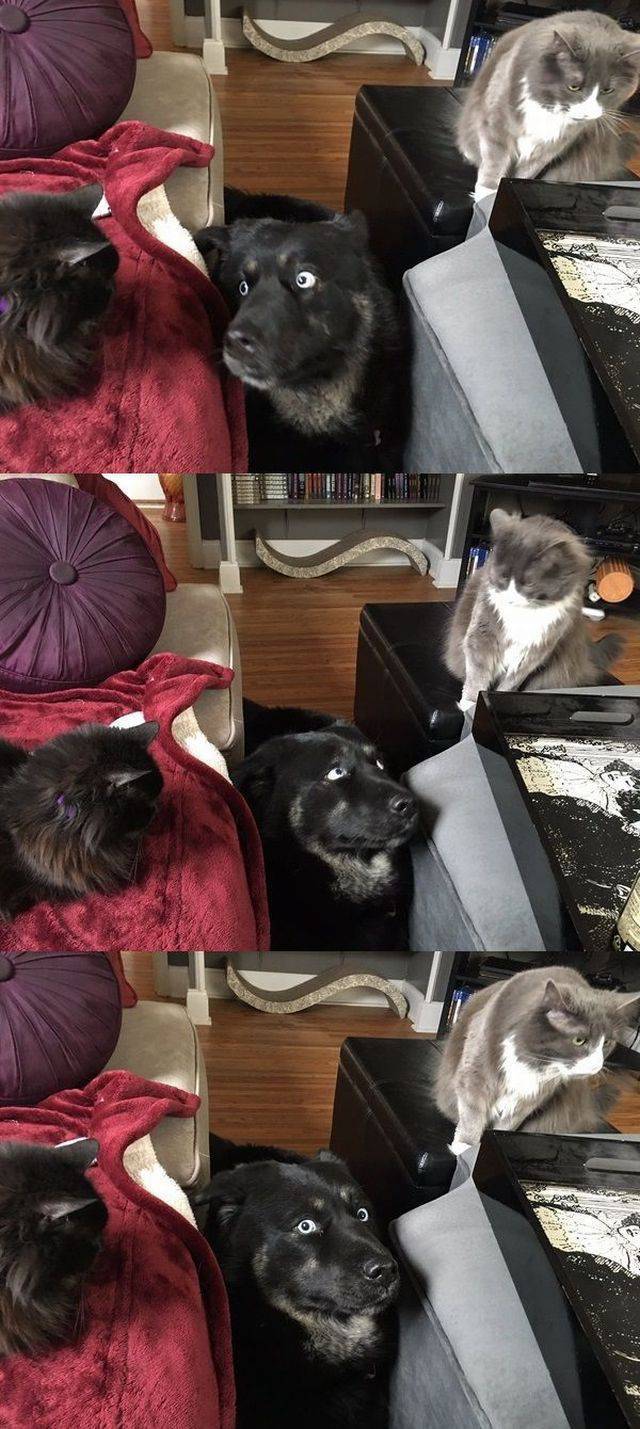 daily picdump 102 pics 50.html - 102 HD Photos | Premium Gallery 2017