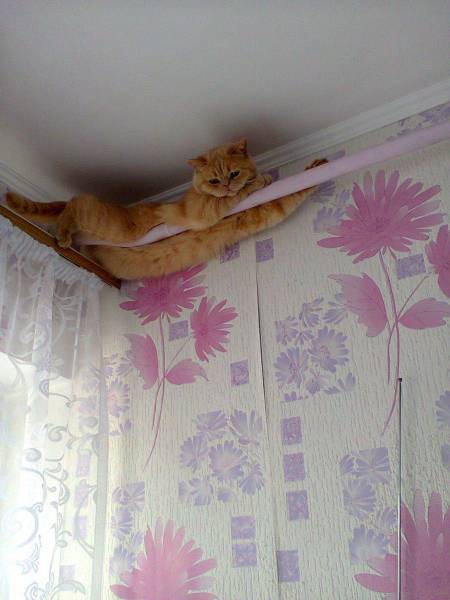 daily picdump 105 pics 50.html - 105 HD Photos | Premium Gallery 2017