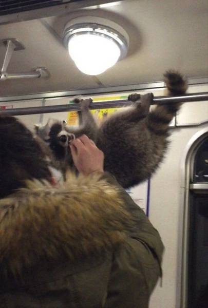 daily picdump 105 pics 50.html - 105 HD Photos | Premium Gallery 2017