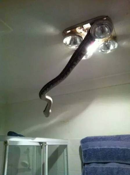 daily picdump 105 pics 50.html - 105 HD Photos | Premium Gallery 2017