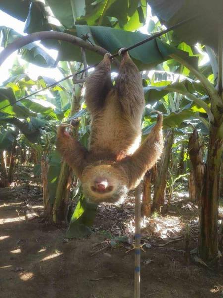 daily picdump 105 pics 50.html - 105 HD Photos | Premium Gallery 2017