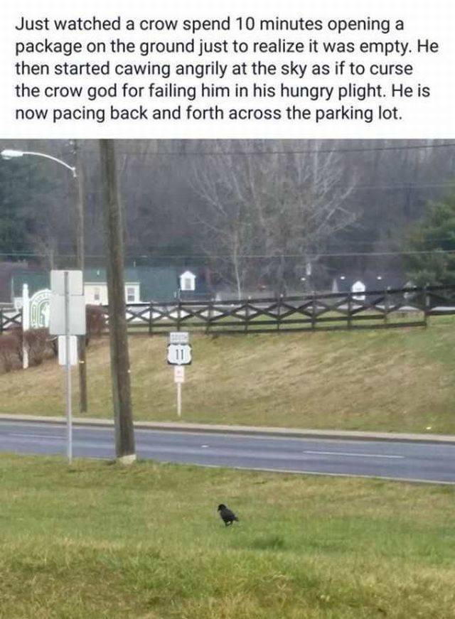 daily picdump 105 pics 50.html - 105 HD Photos | Premium Gallery 2017